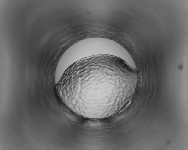 X0000094360228200711301432