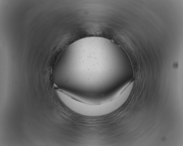 X0000094360229200711301432