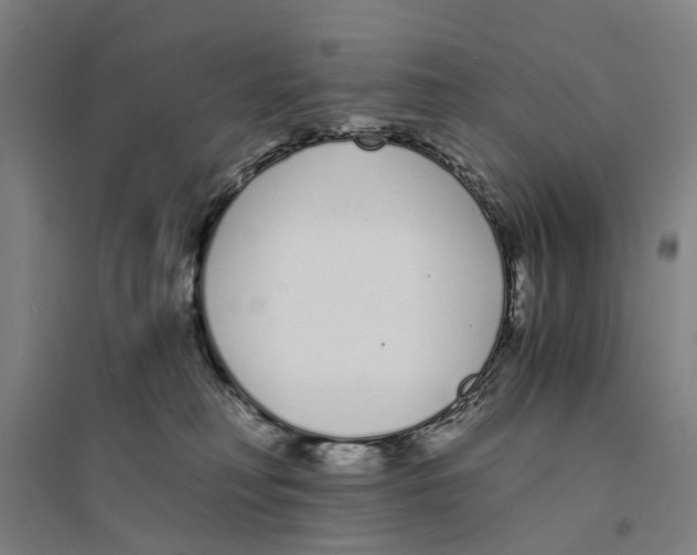 X0000094360230200711301432