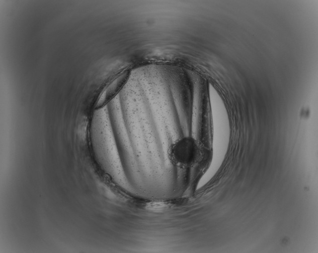 X0000094360231200711301432