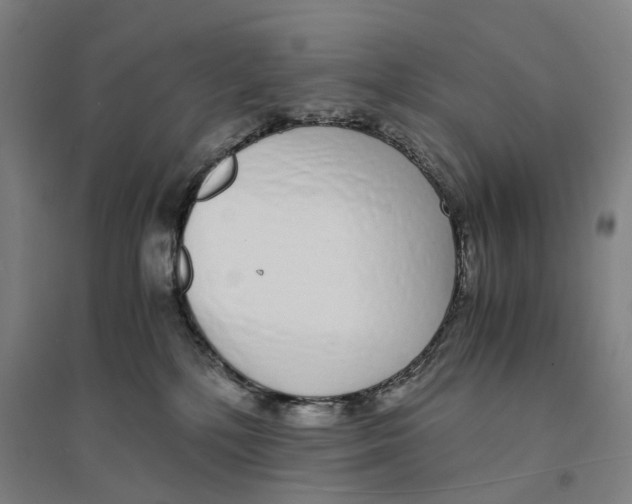 X0000094360232200711301432