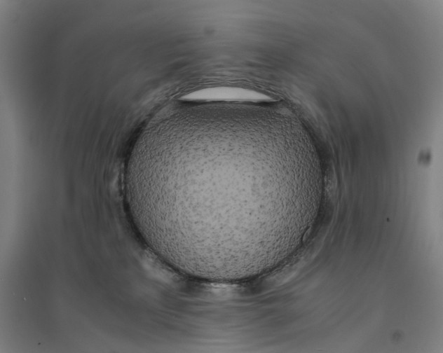 X0000094360233200711301432