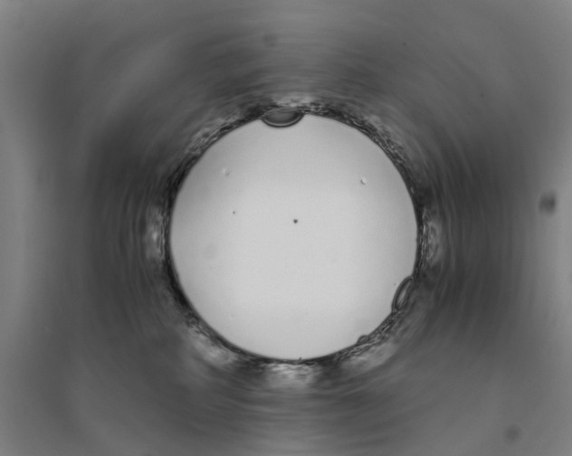 X0000094360234200711301432
