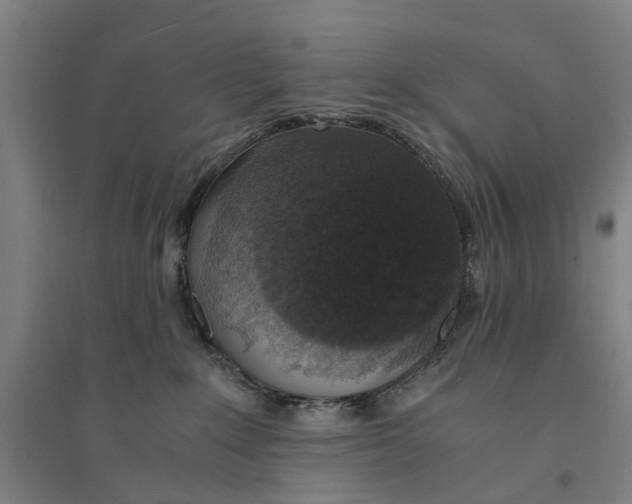 X0000094360235200711301432