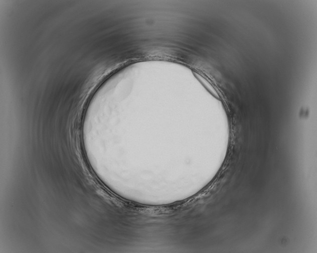 X0000094360241200711301431
