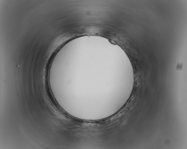 X0000094360242200711301431