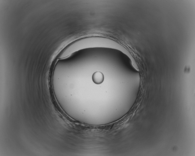 X0000094360244200711301431