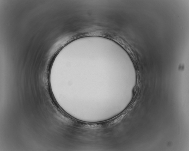 X0000094360245200711301431