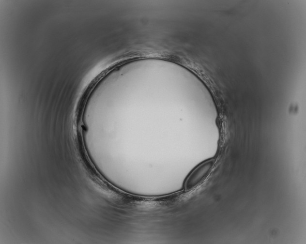 X0000094360246200711301431