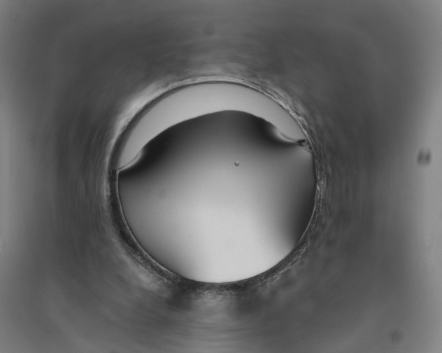 X0000094360248200711301431