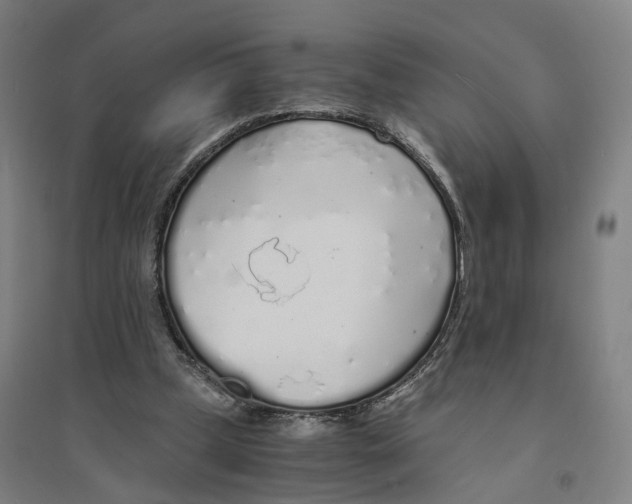 X0000094360249200711301431