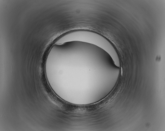 X0000094360252200711301431