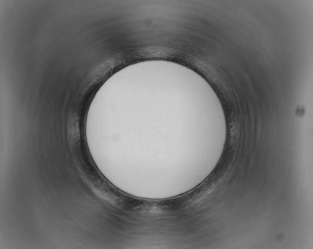 X0000094360254200711301431