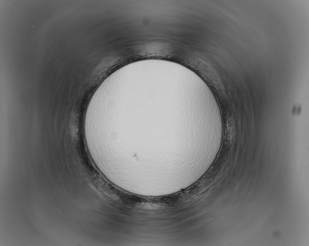 X0000094360255200711301431