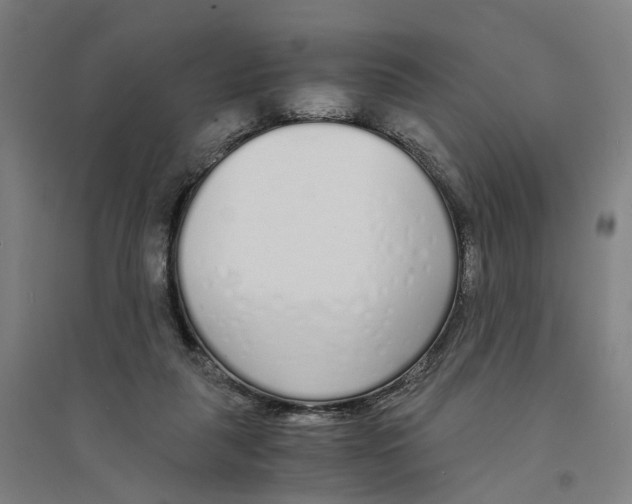 X0000094360259200711301431