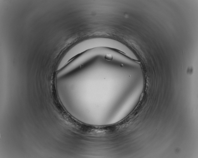 X0000094360260200711301432
