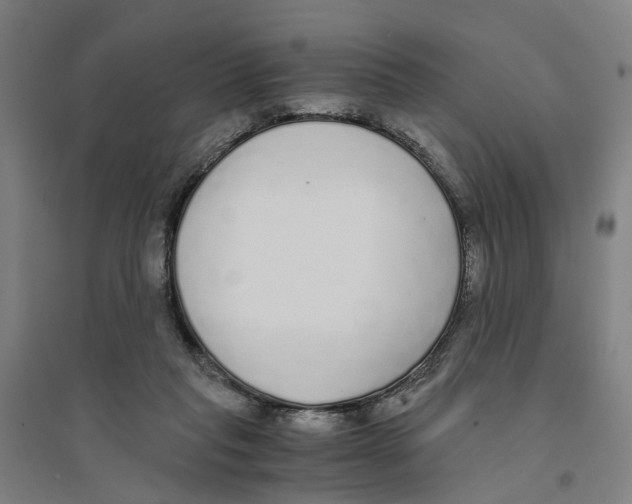 X0000094360261200711301432