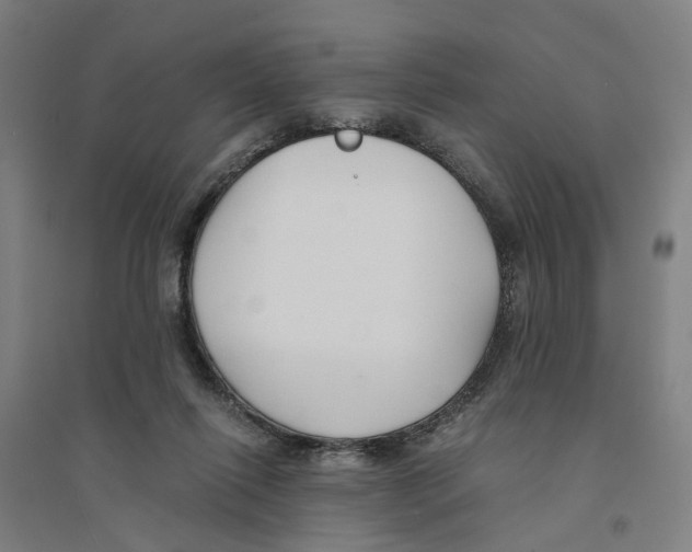 X0000094360262200711301432