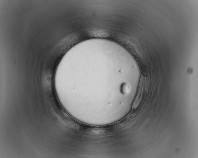X0000094360263200711301432