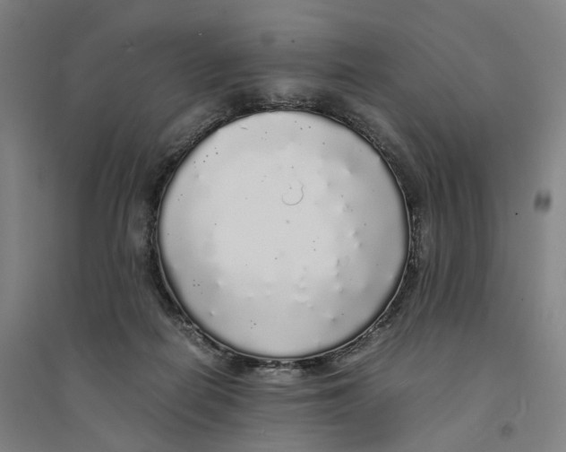 X0000094360266200711301432