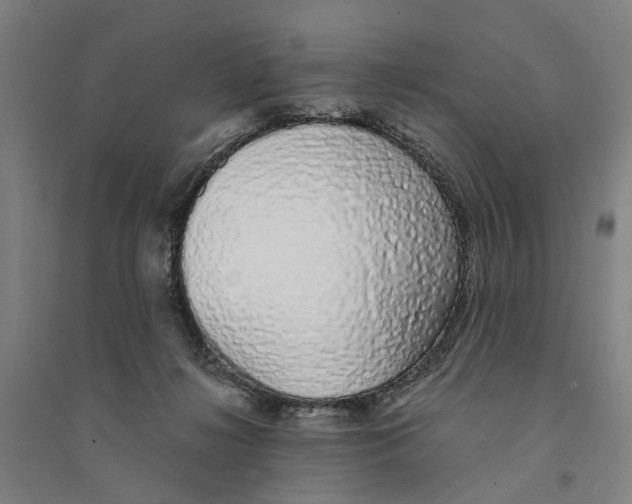 X0000094360268200711301432