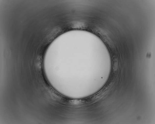 X0000094360273200711301432