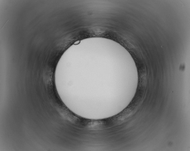 X0000094360274200711301432