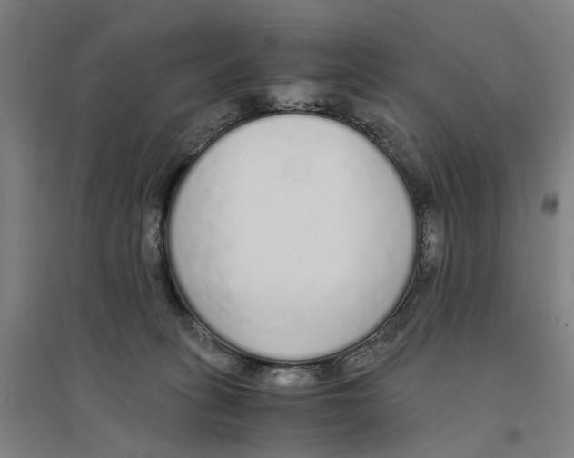X0000094360275200711301432