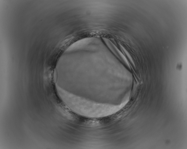 X0000094360276200711301432