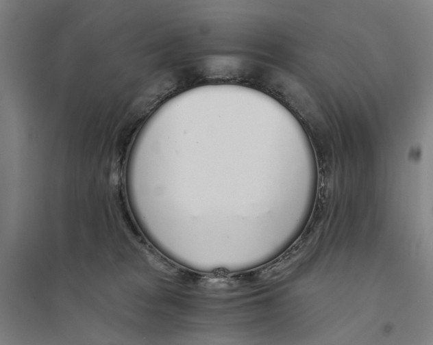 X0000094360277200711301432