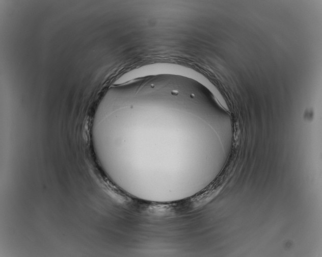 X0000094360280200711301432