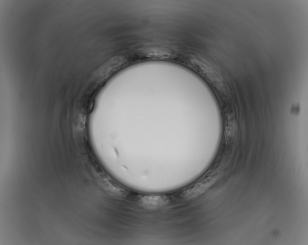 X0000094360281200711301432