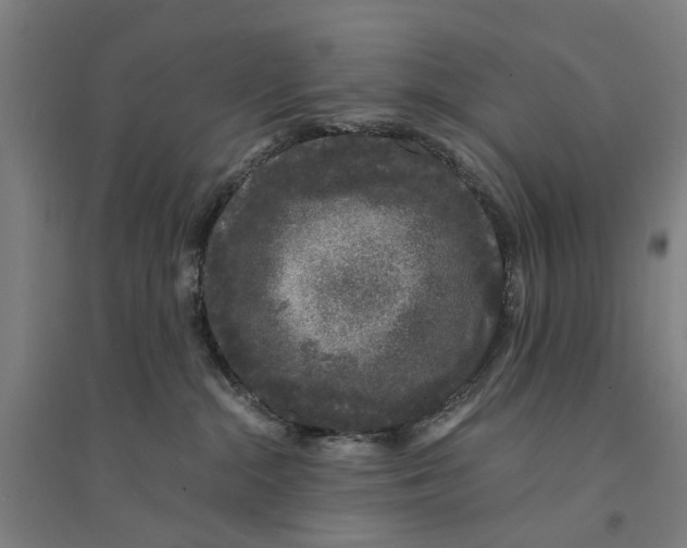 X0000094360284200711301432