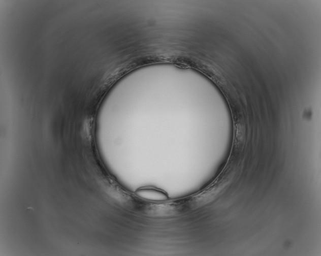 X0000094360286200711301432