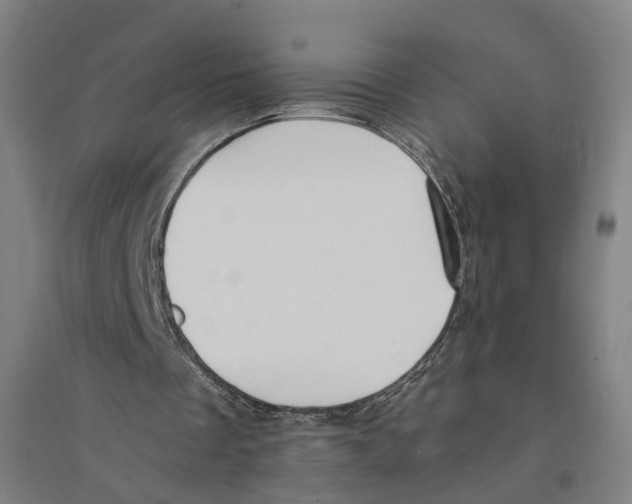 X0000094360289200711301431