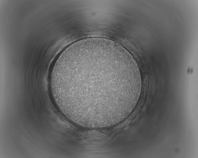 X0000094360290200711301431