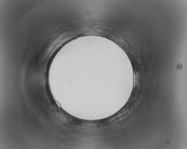 X0000094360291200711301431