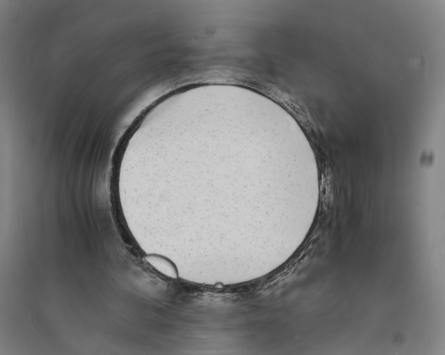 X0000094360292200711301431