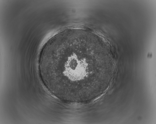 X0000094360293200711301431