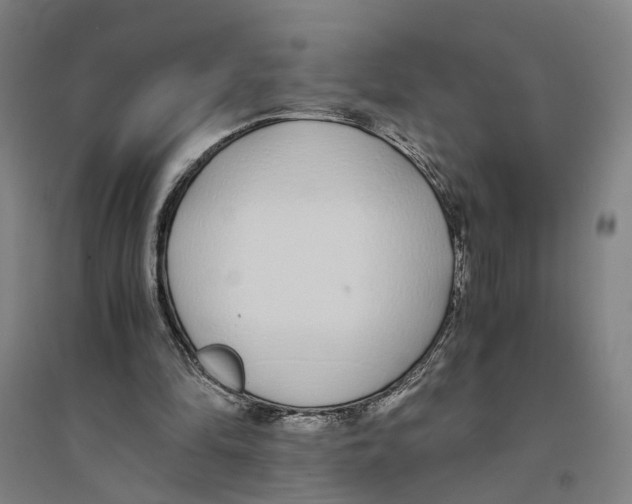 X0000094360294200711301431