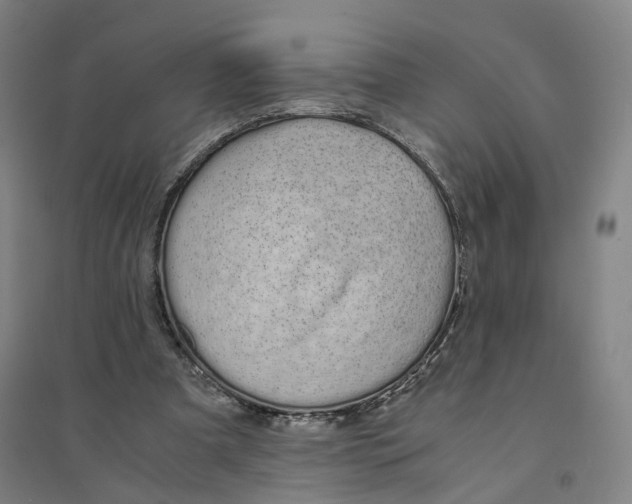 X0000094360297200711301431