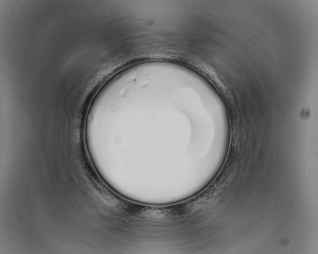 X0000094360299200711301431