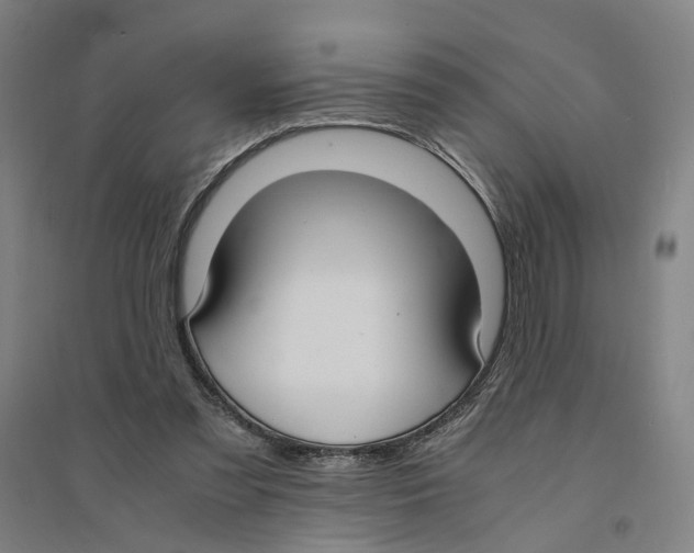 X0000094360301200711301431