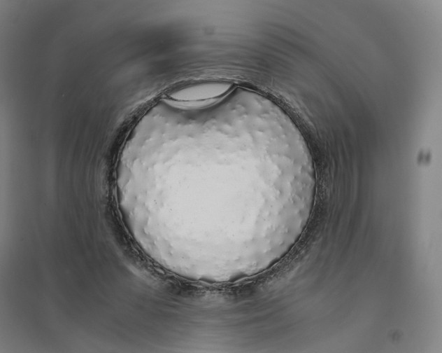 X0000094360303200711301431
