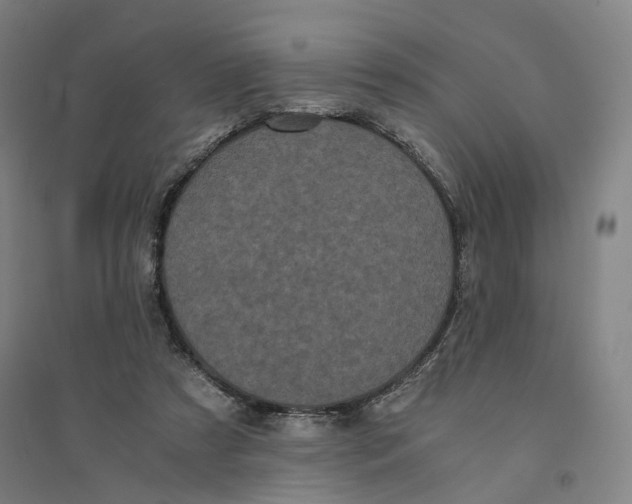 X0000094360305200711301431