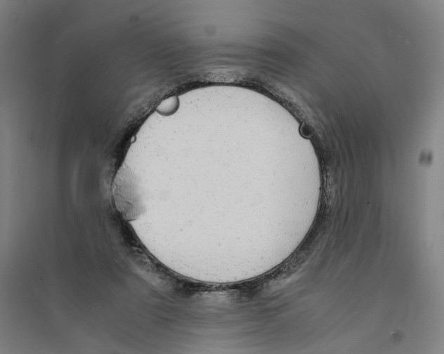 X0000094360307200711301431