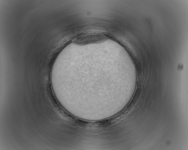 X0000094360309200711301431