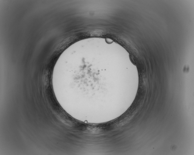 X0000094360311200711301431