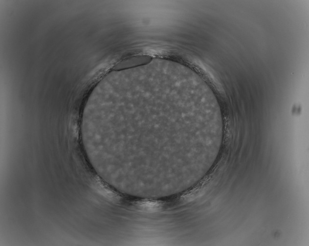 X0000094360313200711301431