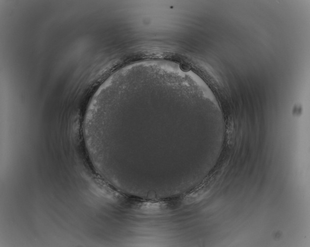 X0000094360314200711301431
